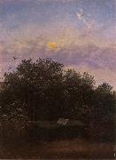 Blooming Elderberry Hedge in the Moonlight Carl Gustav Carus